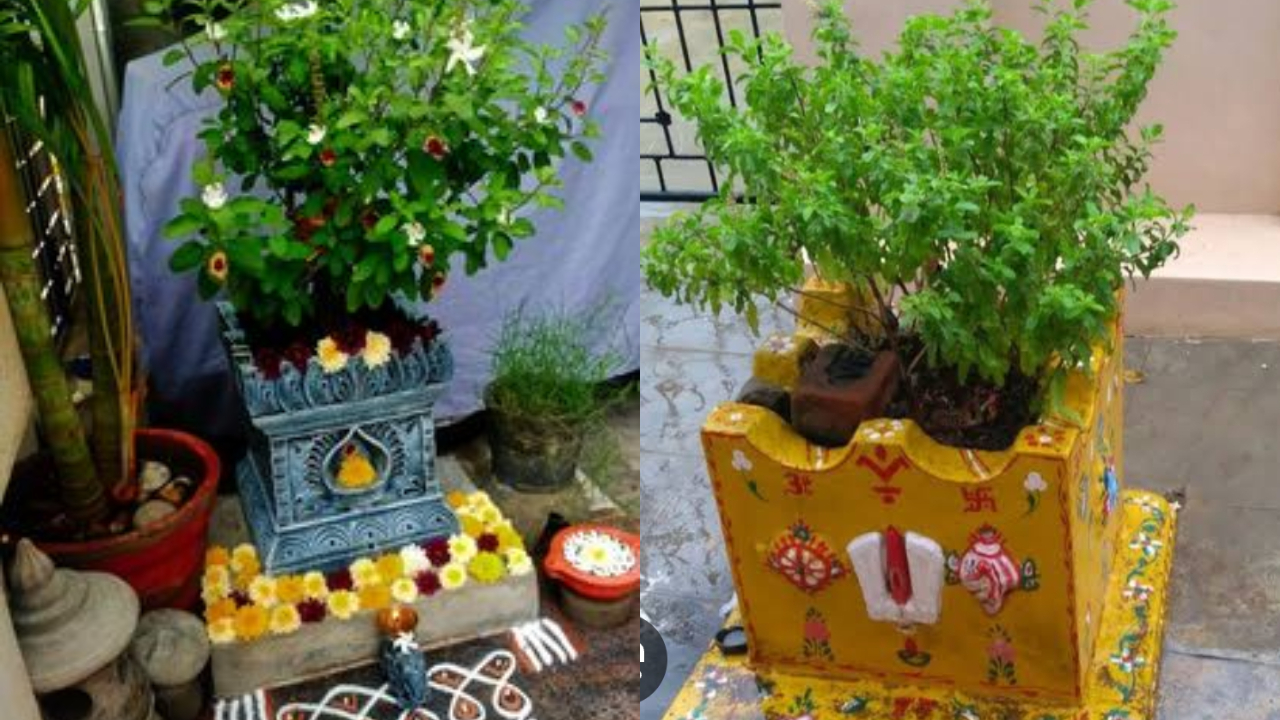 thulasi