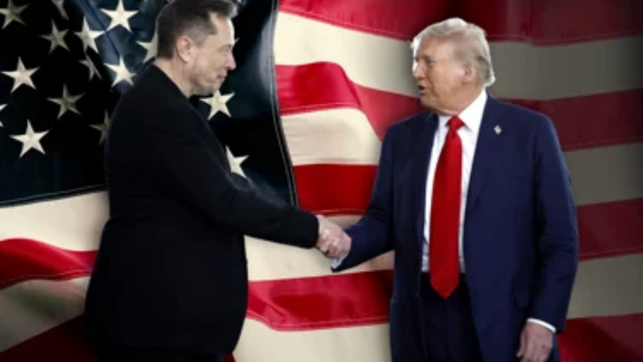 elon